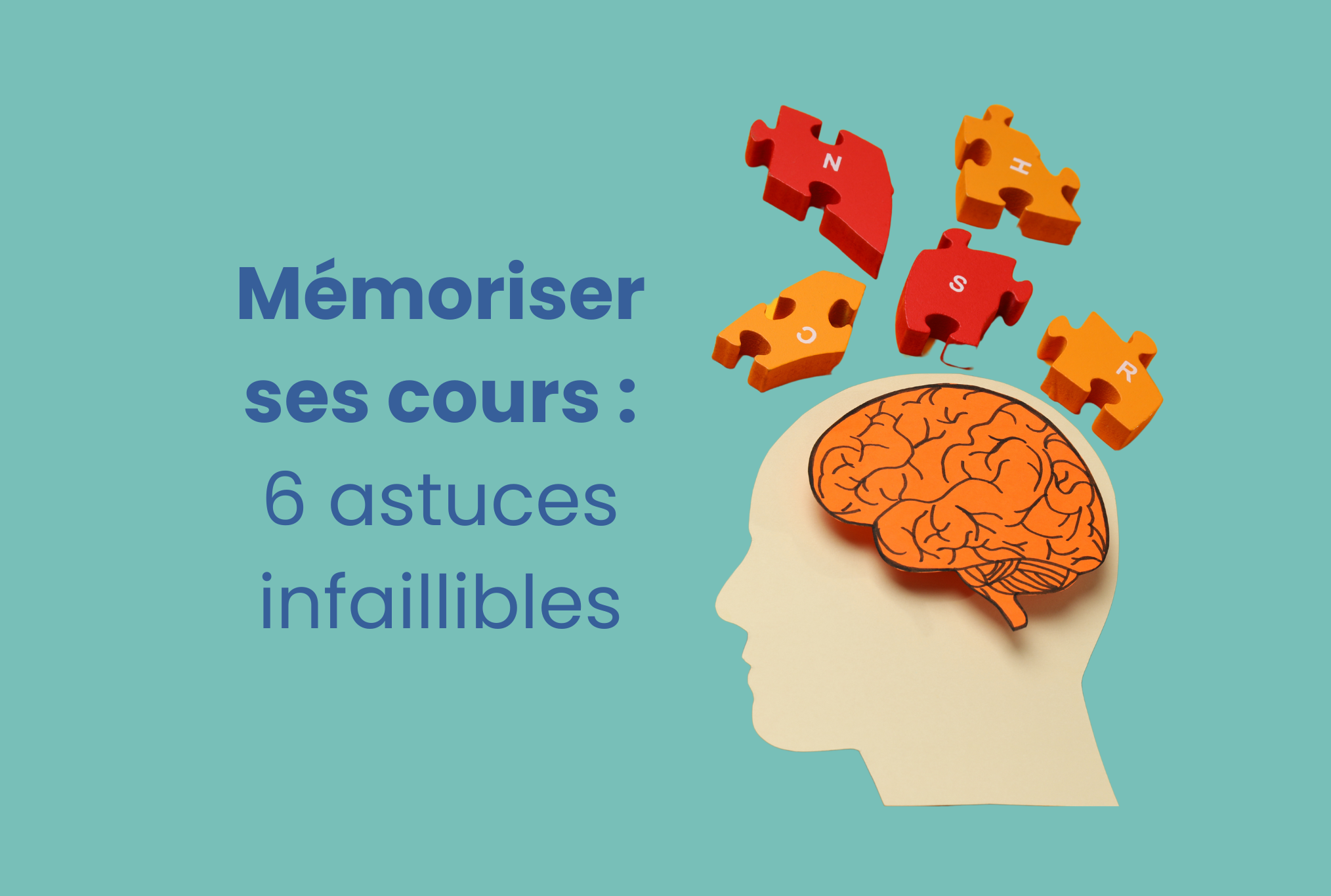 Image d'un cerveau sous forme de puzzle qui symbolise la mémoire